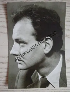 RÁŽ VLADIMÍR