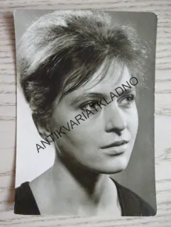 STIVÍNOVÁ ZUZANA 