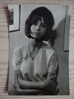 URBANOVÁ RŮŽENA