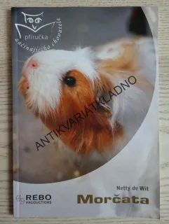 MORČATA, NETTY DE WIT, **an
