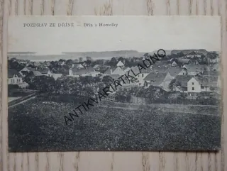DŘÍŇ S HOMOLKY, KLADNO, 1919