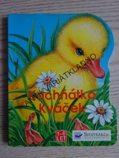 KACHŇÁTKO KVÁČEK, **an