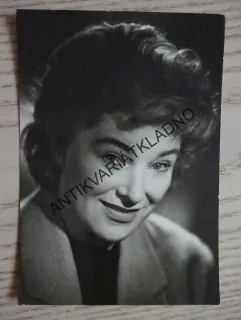 VÁŠOVÁ MARIE