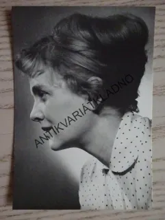 VENDLOVÁ LUDMILA