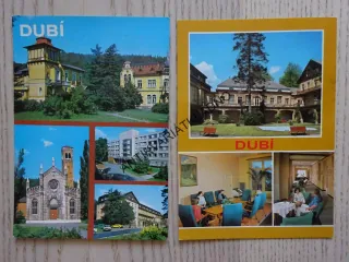 DUBÍ, OKRES TEPLICE, 2 KUSY
