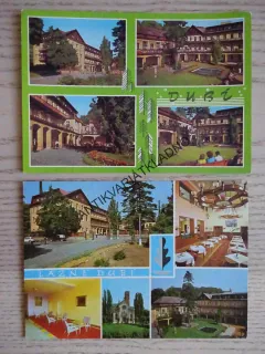 LÁZNĚ DUBÍ, OKRES TEPLICE, 2 KUSY