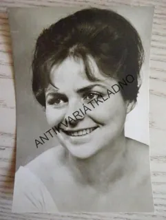 GAJEROVÁ NAĎA
