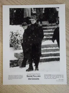SNÍH PADÁ NA CEDRY, SNOW FALLING ON CEDARS, FOTOSKA FILM