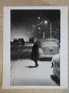 SNÍH PADÁ NA CEDRY, SNOW FALLING ON CEDARS, FOTOSKA FILM