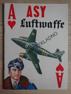 ASY LUFTWAFFE, POLSKY