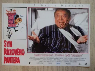SYN RŮŽOVÉHO PANTERA, FOTOSKA FILM