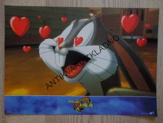 SPACE JAM, FOTOSKA FILM