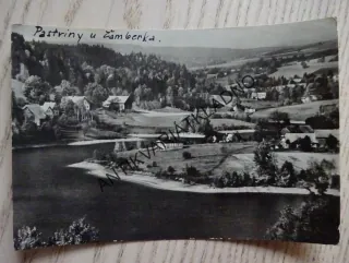 PASTVINY U ŽAMBERKA, OKRES ÚSTÍ NAD ORLICÍ, 1959