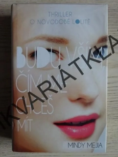 BUDU VŠÍM, ČÍM MĚ CHCEŠ MÍT, MINDY MEJIA, **an