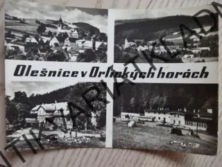 OLEŠNICE V ORLICKÝCH HORÁCH, OKRES RYCHNOV NAD KNĚŽNOU