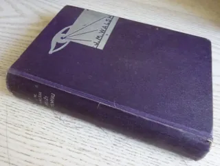 MUŽI V TEMNU, J. M. WALSH, **an
