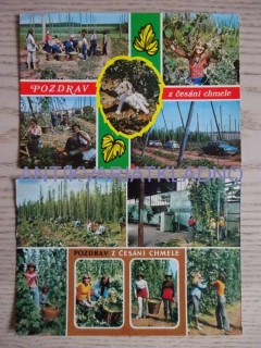 POZDRAV Z CHMELE, CHMELNICE, 2 KUSY