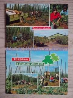 POZDRAV Z CHMELE, CHMELNICE, 2 KUSY
