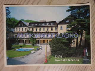 DUBÍ, LÁZEŇSKÁ LÉČEBNA, 1996, OKRES TEPLICE