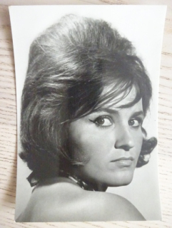 MICHALCOVÁ KVĚTA