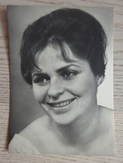 GAJEROVÁ NAĎA
