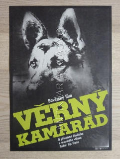 VĚRNÝ KAMARÁD, FILM SSSR, R: GURIN, PL: WEBER, PLAKÁT 383