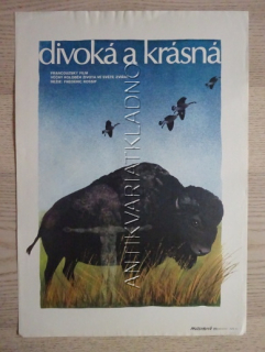 DIVOKÁ A KRÁSNÁ, FILM FR, R: ROSSIF, PL: HEJZLAROVÁ, PLAKÁT 584