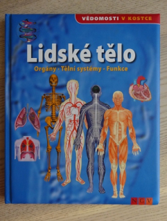 LIDSKÉ TĚLO, **an