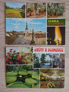 OLOMOUC, FLORA, 2 KUSY