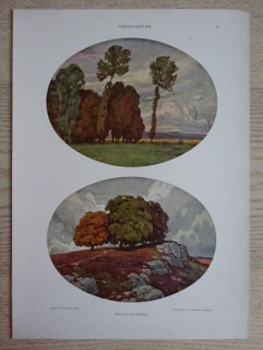 DEKORATIVNÍ TISK 1921 - PŘÍRODA, LOUKA, LES, REMÍZEK
