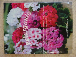 PELARGONIE, MIA ESSEROVÁ, **an