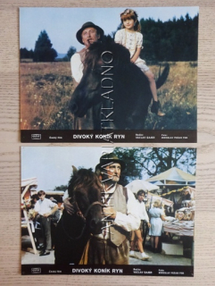 DIVOKÝ KONÍK RYN, FOTOSKA FILM ČR 100AB