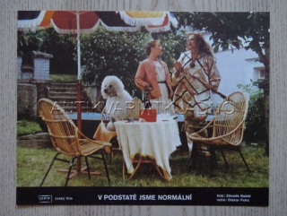 V PODSTATĚ JSME NORMÁLNÍ, FOTOSKA FILM ČR 336