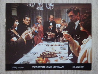 V PODSTATĚ JSME NORMÁLNÍ, FOTOSKA FILM ČR 339