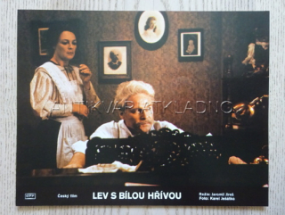 LEV S BÍLOU HŘÍVOU, FOTOSKA FILM ČR 351