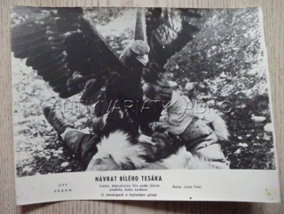 NÁVRAT BÍLÉHO TESÁKA, FOTOSKA FILM IT 412